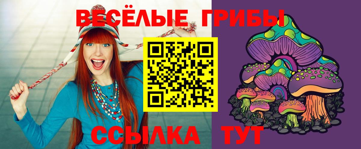 Галлюциногенные грибы Psilocybine cubensis  Вход с VPN  Рассказово 
