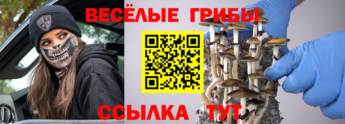 Псилоцибиновые грибы мицелий Рассказово